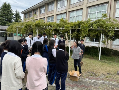 ①9debf93e-d719-4d89-85dc-d2a065525324