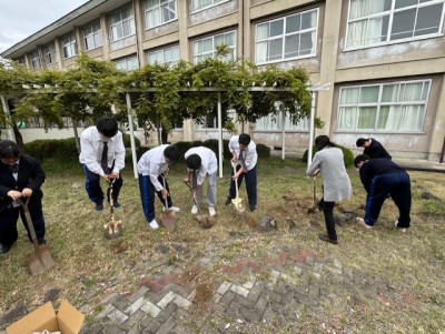 ②fe312de2-732a-4ee7-8958-88c2d6c59172