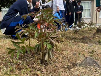 ④8e5eddfe-4b99-48e6-b282-6b0cfd76c619