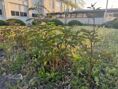 ⑤8dafbe4b-9d8c-454d-ad06-259971cde9a7