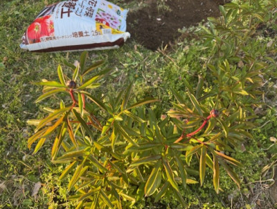 ⑧0101e6ac-1306-4000-8ba8-d6e18e8c09b9