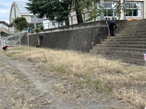 IMG_4305
