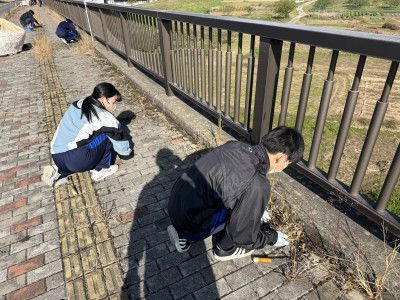 20251108_004858096_iOS